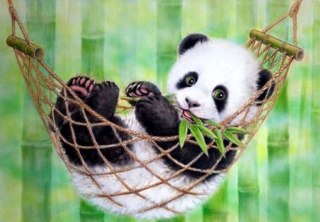 Zestaw kreatywny Diamentowa mozaika 30x40cm Panda w hamaku Flamingo Line (1(43))