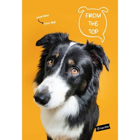 Zeszyt A4 Pets 40k. krata Mar Mar (MM 1211638884)