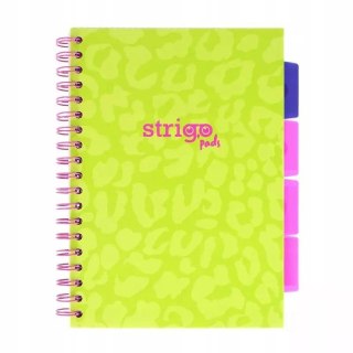 Kołozeszyt (kołonotatnik) B5 NEON zielony 5905658827038 100k. linia Strigo (PADS085)
