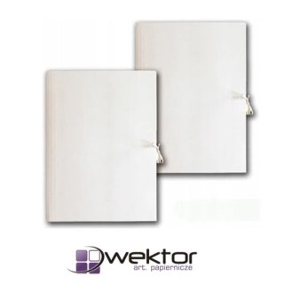 Teczka kartonowa Wektor (5906395355051)