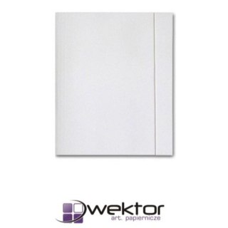 Teczka kartonowa Wektor (5906395355068)
