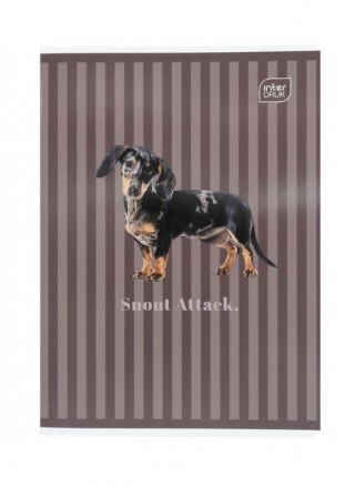 Zeszyt A5 PUPPY SIGN 60k. 70g krata Interdruk (ZE60#PS)