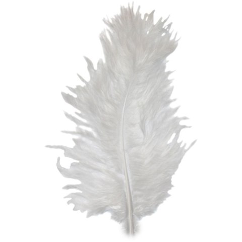 Piórka Craft-Fun Series białe 50 szt Titanum