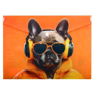 Teczka plastikowa Cool dog Panta Plast (0410-0062-60)