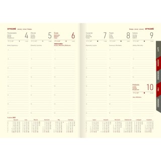 Kalendarz książkowy (terminarz) Cross srebrny A5 Wokół Nas (204 A5TRK)