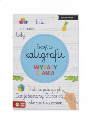 Książka dla dzieci wyrazy,zadania. Zielona Sowa