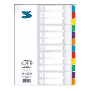 Przekładka czysta A4 170g 13k [mm:] 210x297 Tres (PLA4-12KOLOR)