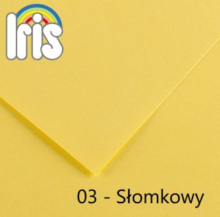 Brystol Iris 03 B1 słomkowy 240g 25k [mm:] 700x1000 Canson (200040442)