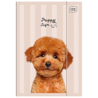 Teczka kartonowa na gumkę UV PUPPY SIGN A4+ mix Interdruk (A4+)