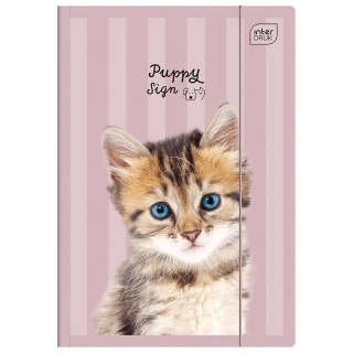 Teczka kartonowa na gumkę UV PUPPY SIGN A4+ mix Interdruk (A4+)