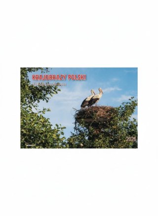 Kalendarz ścienny KRAJOBRAZY POLSKI wieloplanszowy 285mm x 410mm Avanti (KA-7)