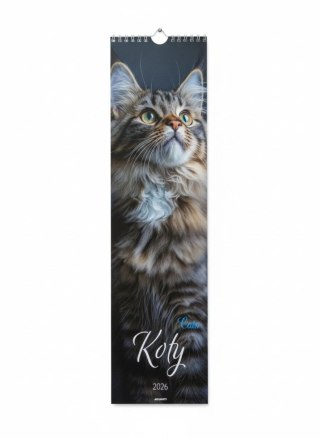 Kalendarz ścienny paskowy Koty 130mm x 460mm Avanti (5901769620391)