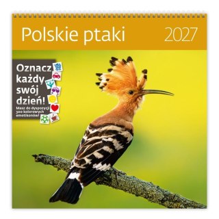 Kalendarz ścienny Polskie Ptaki 300mm x 300mm Sztuka Rodzinna (LP53-27)