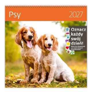 Kalendarz ścienny Psy 300mm x 300mm Sztuka Rodzinna (LP52-27)