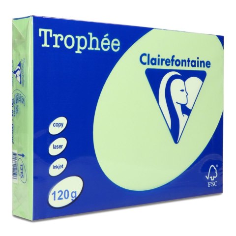 Papier kolorowy A4 kolorowy zielony 120g Emerson (xca41215)