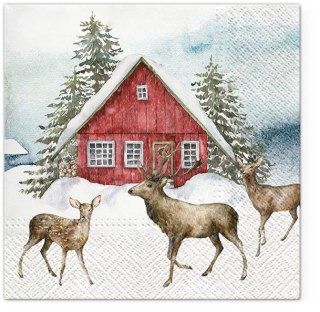 Serwetki BN kolorowa papier [mm:] 330x330 Paw (TL232200)