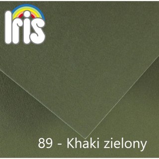 Brystol IRIS zielony khaki 185g 25k [mm:] 500x650 Canson (400080166)