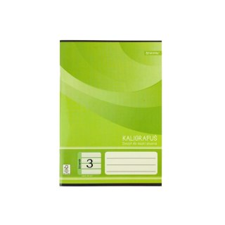 Zeszyt A5 do nauki pisania 3 16k. 70g mix [mm:] 145x208 Rexus (605430)