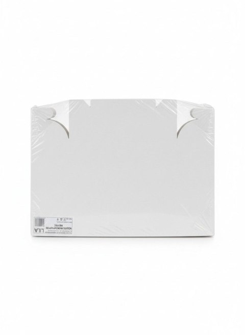 Tacka szufelka 25x18x6 tektura 100 szt 250mm x 180mm Lila