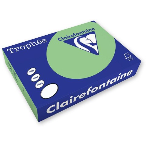Papier kolorowy A4 kolorowy 1775 zielony 500k. 80g Trophee (xca41775)