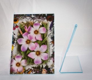 Ramka plexi [mm:] 40x60 Gedeon (PLX4PL)