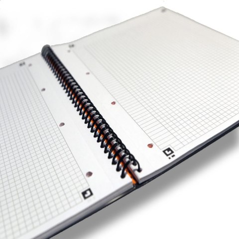 Kołobrulion A4+ International 80k. krata Oxford (100103664)