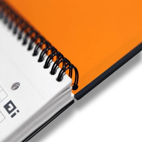 Kołobrulion A4+ International 80k. krata Oxford (100103664)