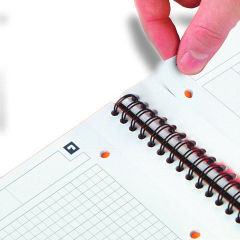 Kołobrulion A4+ International 80k. krata Oxford (100103664)