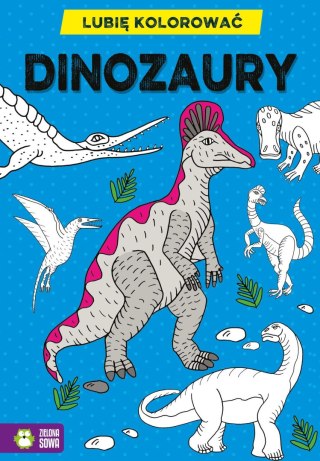 Książeczka edukacyjna Lubię kolorować. Dinozaury Zielona Sowa
