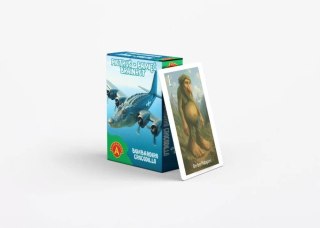 Karty Piotruś Brainrot Bombardiro Crocodillo Alexander 25 sztuk