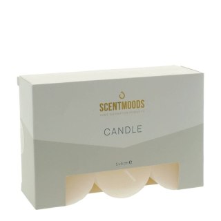 Świeca pieńkowa 5x5cm 6szt., w kolorze Ivory [mm:] 50 śr. 50mm Pavoncella (8720935400851)