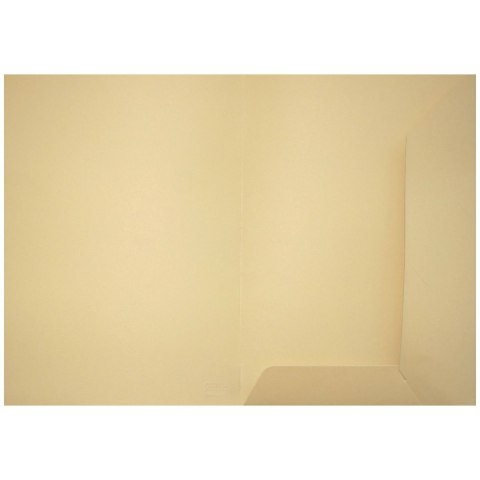 Teczka ofertowa ecru A4 kolor: ecri Bigo (1037)