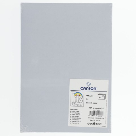 Brystol A4 szary 185g 50k Canson (200040177)
