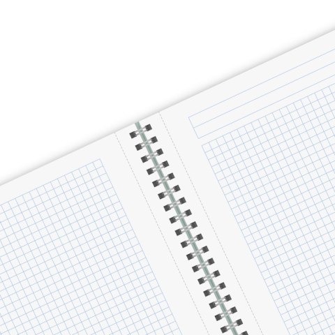 Kołobrulion A4 ECO COLORS 9501452 80k. kratka Herlitz (400198742)