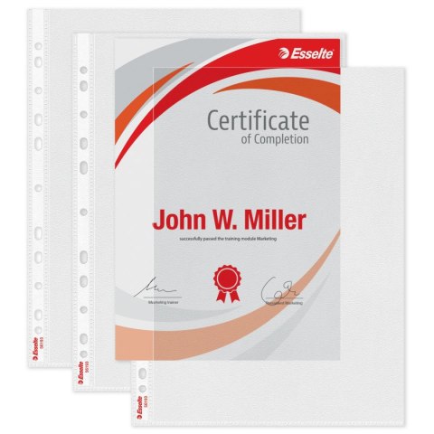 Koszulki na dokumenty A4 kolor: przezroczysty typu L Esselte (56193)