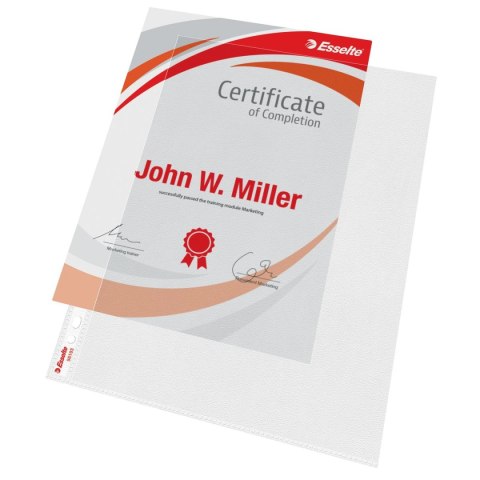 Koszulki na dokumenty A4 kolor: przezroczysty typu L Esselte (56193)