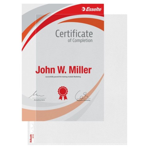 Koszulki na dokumenty A4 kolor: przezroczysty typu L Esselte (56193)