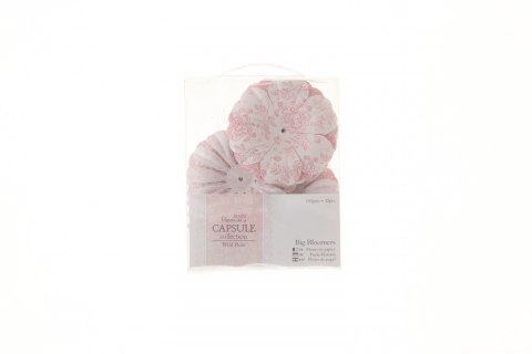 Ozdoba papierowa płatki papierowe capsule wild rose duże 32 szt. Papiermania (pma-157236)