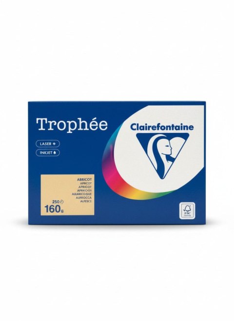 Papier kolorowy A4 kolorowy morelowy morelowy 250k. 160g Trophee (xca41011)