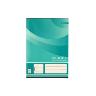 Zeszyt A5 16k. 80g linia Rexus (605431)