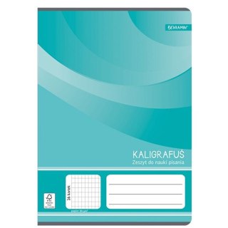 Zeszyt A5 16k. 80g linia Rexus (605431)