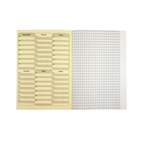 Zeszyt A5 16k. 80g linia Rexus (605431)