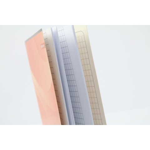 Zeszyt A5 16k. 80g linia Rexus (605431)