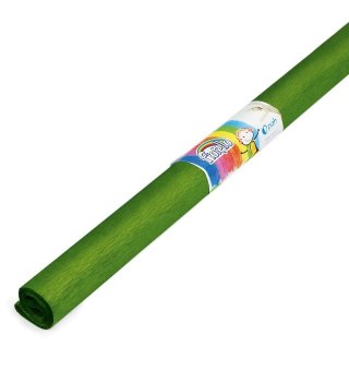 Bibuła marszczona oliwkowa 500mm x 2000mm Fiorello (170-2313)