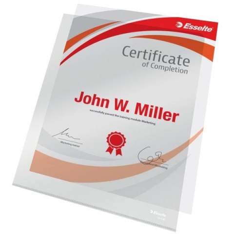 Ofertówka A4 kolor: przezroczysty typu L 150 mic. Esselte (55430)