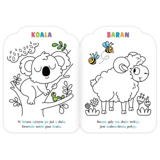 Książka dla dzieci Malowanki rymowanki z misiem. Czytam sylabami i koloruję Aksjomat