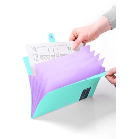 Teczka z przegródkami A4 kolor: turkusowy 5 przegródek Berlingo (4260709080307)