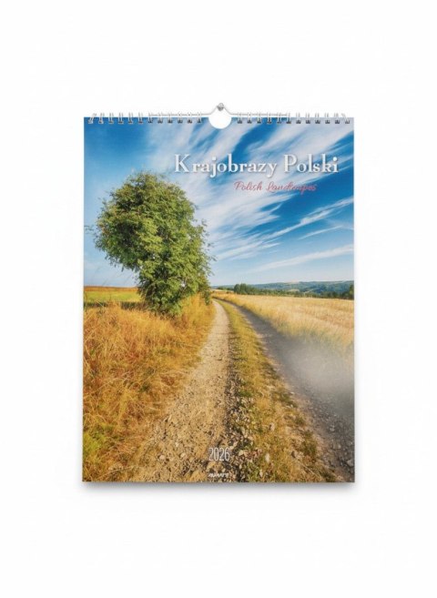 Kalendarz ścienny MAŁY SPIRALA Krajobrazy 230mm x 305mm Avanti (KSMS-1)