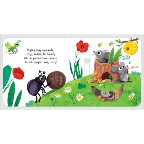 Książka dla dzieci NA ŁĄCE. CO ODKRYJĘ PALUSZKIEM?