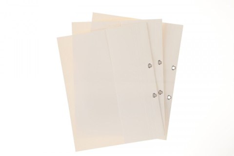 Skoroszyt A4 OCZKOWY biały tektura 300g Tekpar